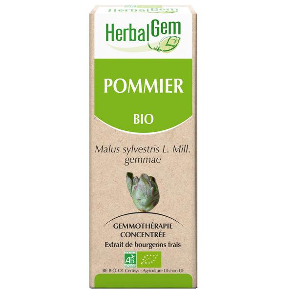 【HerbalGem ハーバルジェム】　セイヨウリンゴ　/　リンゴの木　 Pommier (Malus communis) 　ジェモセラピー　（オーガニック）　☆更年期障害の緩和、リラックスに☆　【新サイズ30ml】