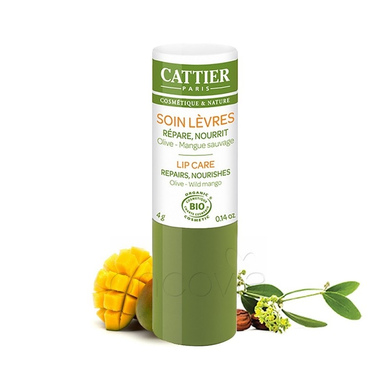 【カティエ】　オーガニック　リップクリーム　（傷んだ乾燥肌用）　マンゴーバター植物油入り　4g