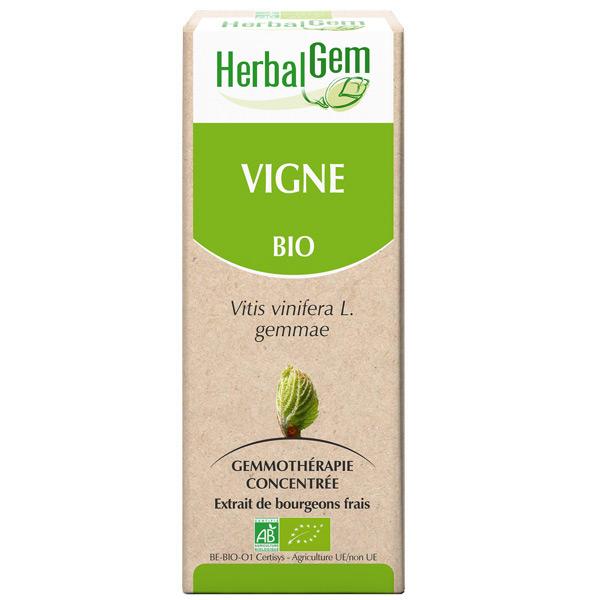【HerbalGem ハーバルジェム】 ブドウ Vigne (Vitis vinifera gemmae) ジェモセラピー (オーガニック) ☆骨、関節、肩こりのサポートに☆ 50ml