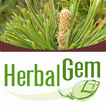 【HerbalGem ハーバルジェム】 ブドウ Vigne (Vitis vinifera gemmae) ジェモセラピー (オーガニック) ☆骨、関節、肩こりのサポートに☆ 50ml