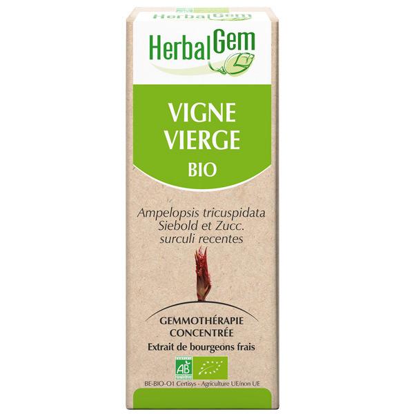 【ハーバルジェム】　野ブドウ / ツタ　/　アメリカヅタ　《デリケートな関節のサポートに、腱鞘炎に》 Vigne vierge (Ampelopsis weitchii surc. rec.) ジェモセラピー　（オーガニック）　【新サイズ30ml】