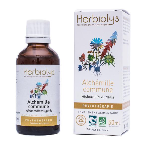 【HERBIOLYS（エルビオリス）】　BIO　アルケミラ　Alchemille commune　ハーブチンキ　（マザーティンクチヤー）　＜オーガニック＞☆胃腸機能、月経周期の調節に☆　50ml