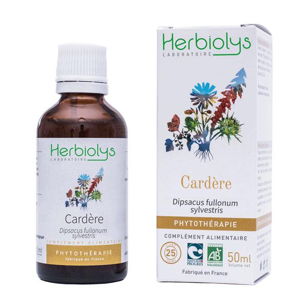 【HERBIOLYS（エルビオリス）】　BIO　チーゼル　Cardere　ハーブチンキ　（マザーティンクチヤー）　＜オーガニック＞☆泌尿器官の促進に☆　50ml