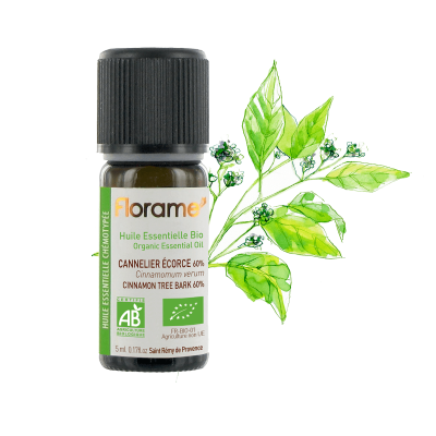 【フローラム】 シナモン樹皮　Cinnamomum verum ＜BIO有機＞　5ml