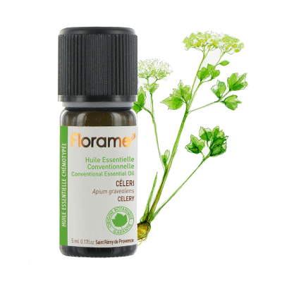 【フローラム】 セロリ　Apium graveolens　＜野生＞ 5ml