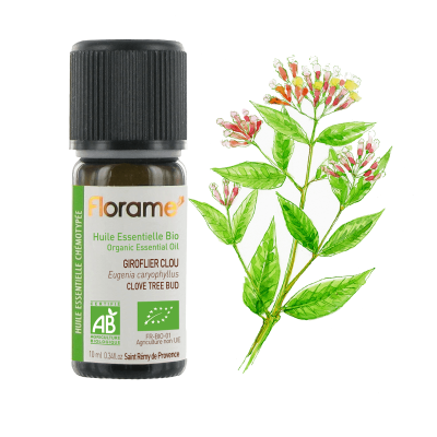 【フローラム】 クローブ　Eugenia caryophyllus　＜BIO有機＞ 10ml