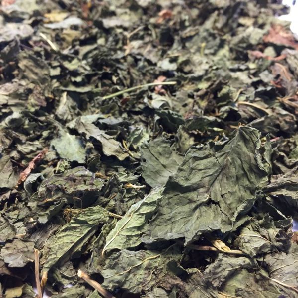 【HERBORISTERIE】　BIO　スィートミント　（ミントナナ）　メディカルハーブティー　Mentha spicata var Nanah　＜消化促進、精神安定に＞　（オーガニックAB有機認定済み）　50g