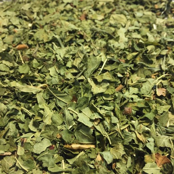 【エリボリステリア】　カシス　葉（細め）　メディカルハーブティー　＜関節と筋肉のサポート＆柔軟性の向上に＞　BIO オーガニック　Ribes nigrum　【CASSIS BIO - FEUILLES BRISURES】100g　Herboristerie