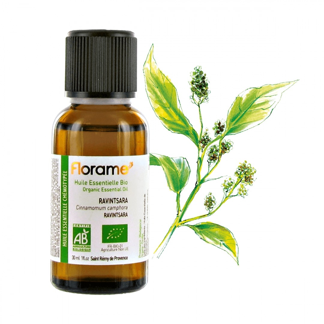 【フローラム】 ラヴィンサラ　Cinnamomum Camphora　＜BIO有機＞　★お得な30ml★