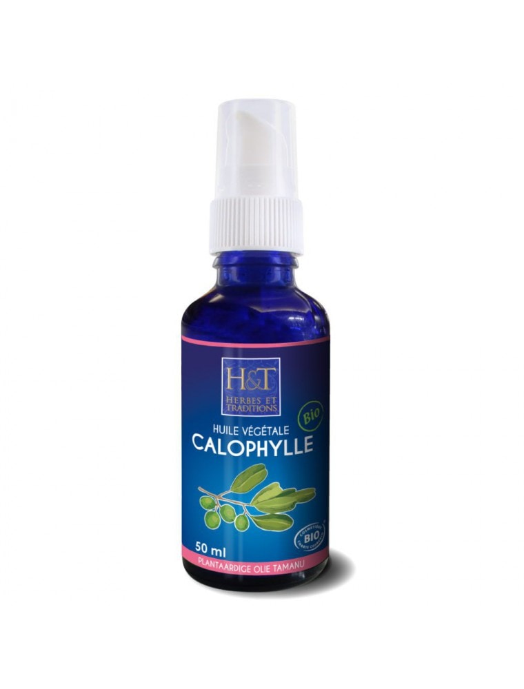 【HERBES & TRADITIONS エルブ・エ・トラディッション】　オーガニック　カロフィラムオイル　BIO 50ml　【Calophylle Bio - Huile vegetale de Calophyllum inophyllum 50 ml - Herbes et Traditions】