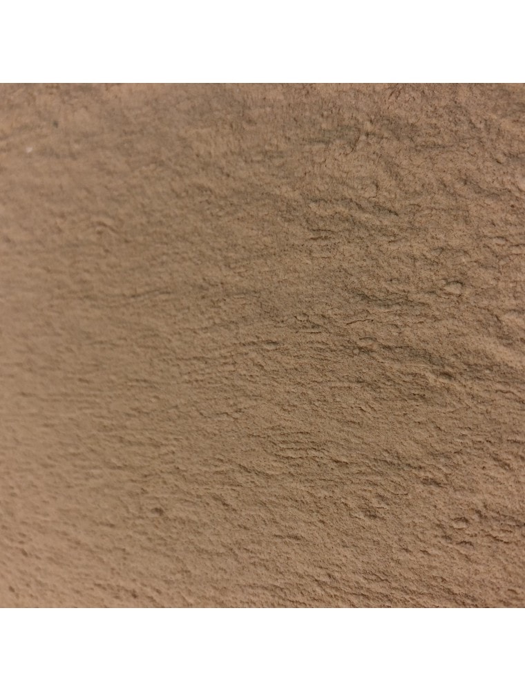 【エルボリステリア）】 　BIO　ニンニク　（球根　粉末）　メディカルハーブティー　100g　＜血行促進・痩身効果＞　【Ail Bio - Bulbe en poudre 100g - Tisane d'Allium sativum L.】