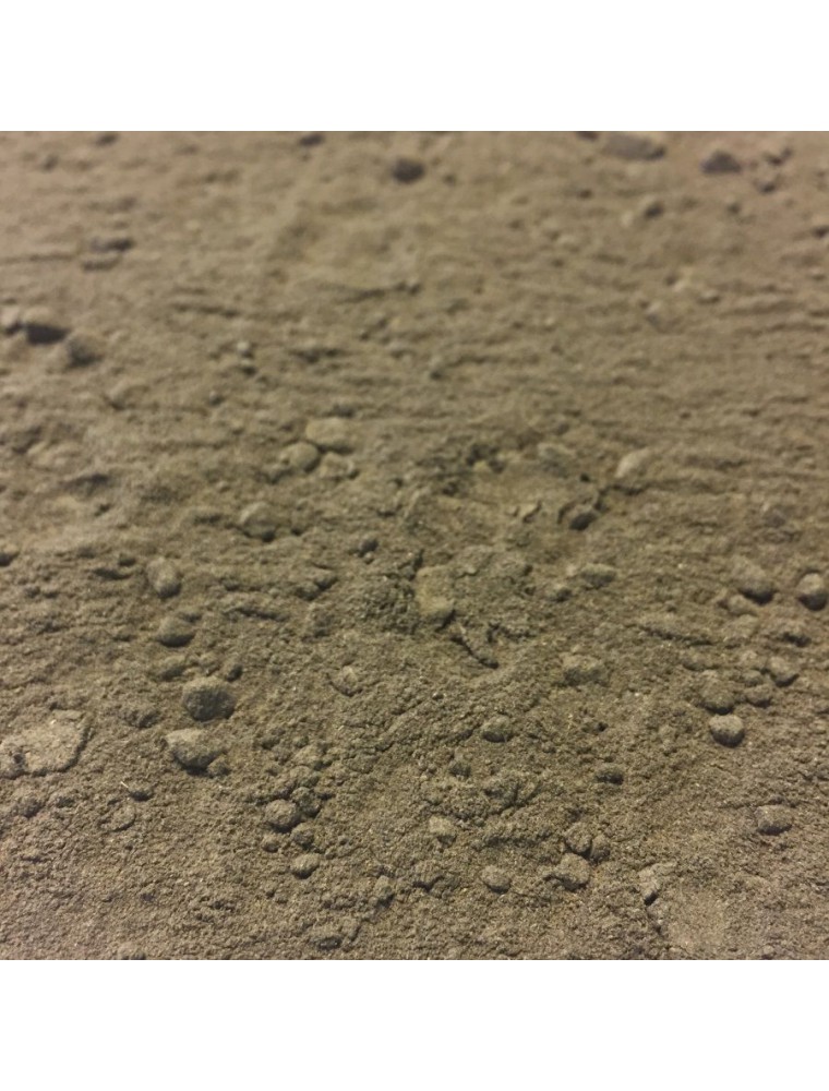 【HERBORISTERIE（エルボリステリア）】 　BIO　ラムソン（クマニンニク）　（葉　カット済み）　メディカルハーブティー　100g　＜デトックス＞　【Ail des Ours Bio - Feuille en poudre 100g - Tisane d'Allium ursinum】