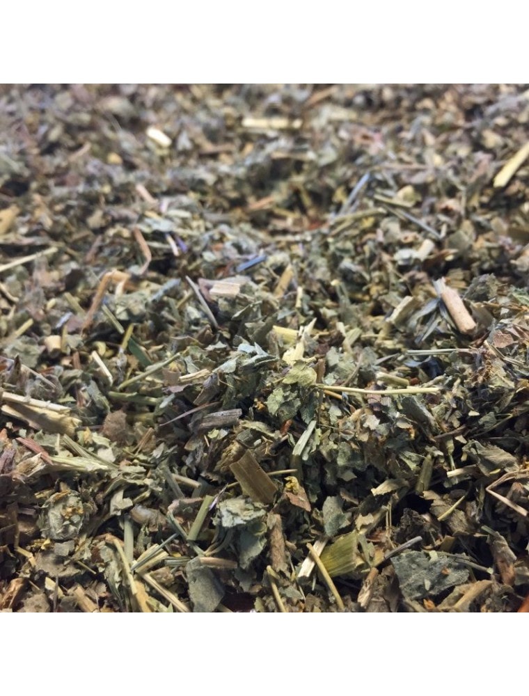 【HERBORISTERIE（エルボリステリア）】 　アルケミラ（レディースマントル）　BIO　　（植物　カット）　メディカルハーブティー　100g　＜月経困難症・生理不順＞　【Alchemille Bio - Plante coupee 100g - Tisane d'Alchemilla vulgaris L.】