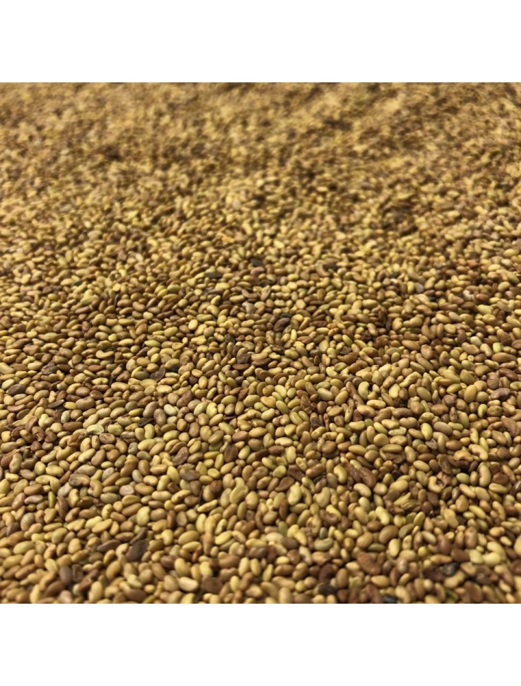 【HERBORISTERIE（エルボリステリア）】 　ムラサキウマゴヤシ/アルファアルファ　（種子）　メディカルハーブティー　100g ＜骨粗しょう症・更年期障害の改善＞　【Alfalfa - Graines 100g - Tisane de Medicago sativa】