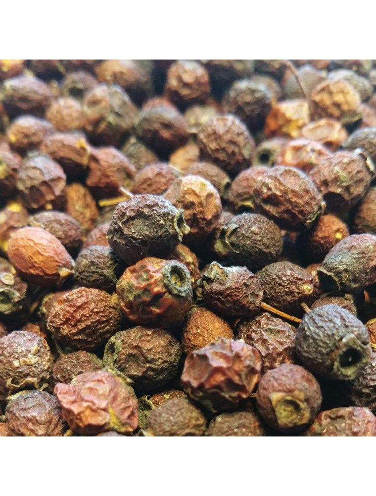 【HERBORISTERIE（エルボリステリア）】　サンザシ　メディカルハーブティー　(果実　カット）　100g　＜倦怠感・心臓機能＞　【Aubepine Bio - Fruit (Cenelle) 100g - Tisane de Crataegus monogyna Jacq..】