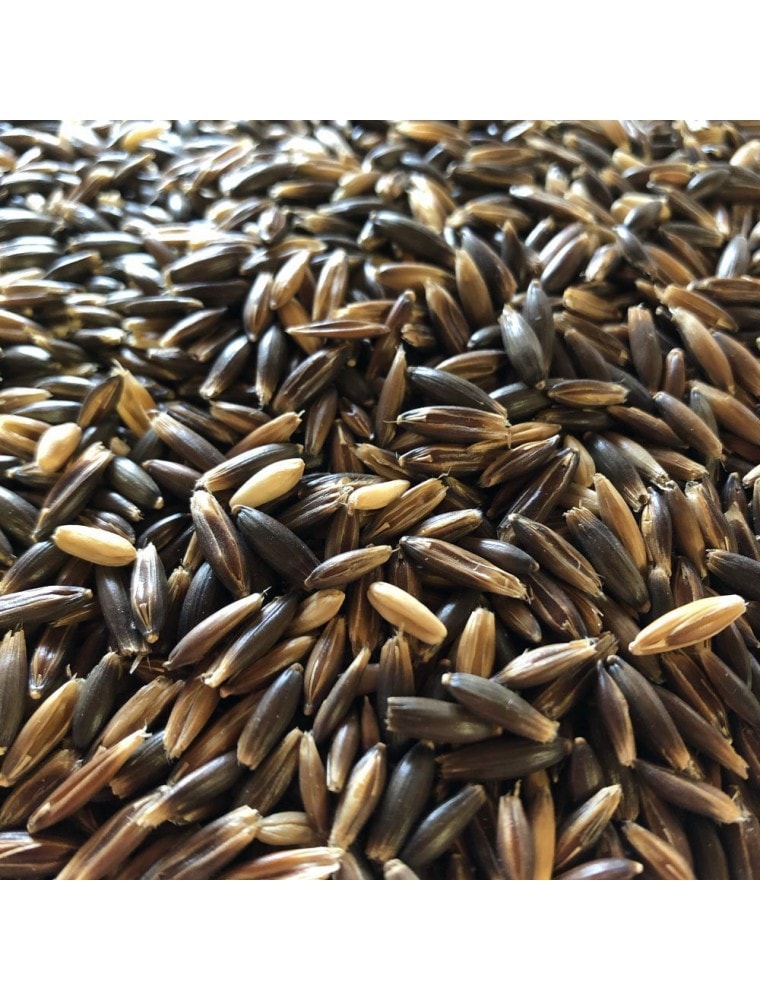 【HERBORISTERIE（エルボリステリア）】　オート麦　メディカルハーブティー　(種子）　100g　＜睡眠・禁煙＞　【Avoine - Graines 100 grammes - Tisane d'Avena sativa 】