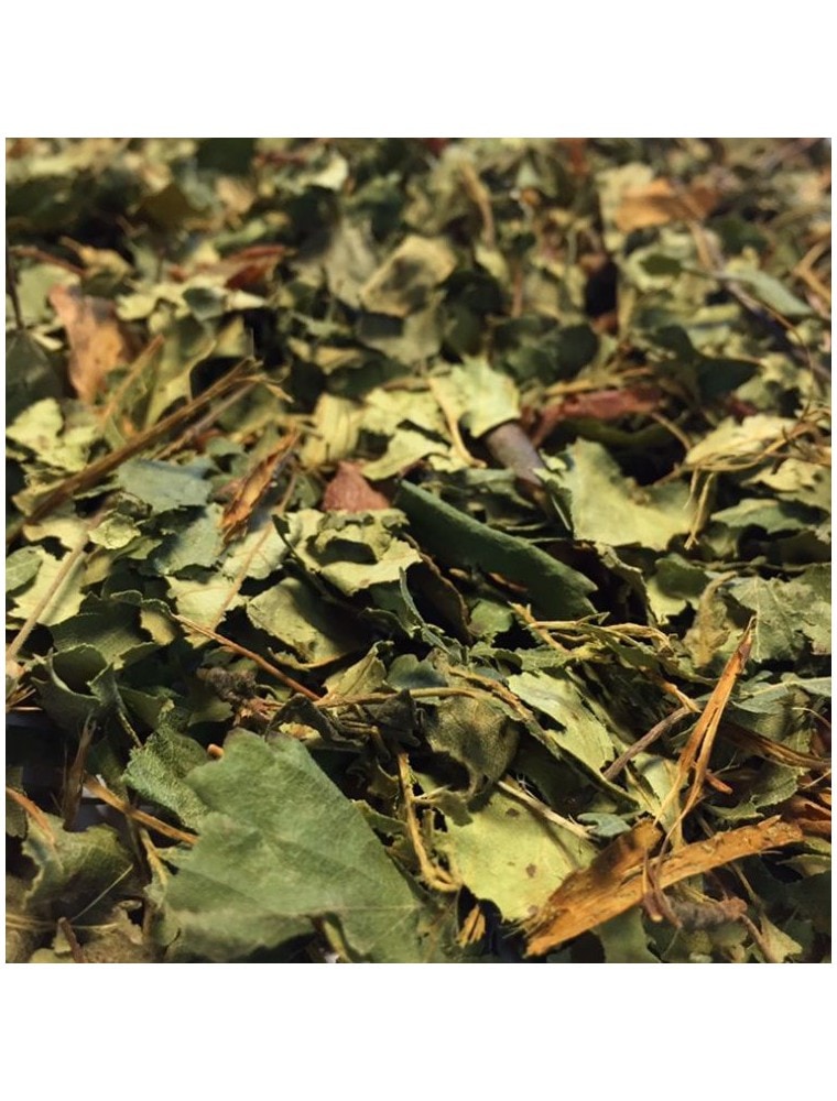 【HERBORISTERIE（エルボリステリア）】　　白樺　シラカバ　メディカルハーブティー　(葉　カット）　100g　BIO ＜デトックス＞　【Bouleau Bio - Feuilles coupees 100g - Tisane de Betula pendula Roth】