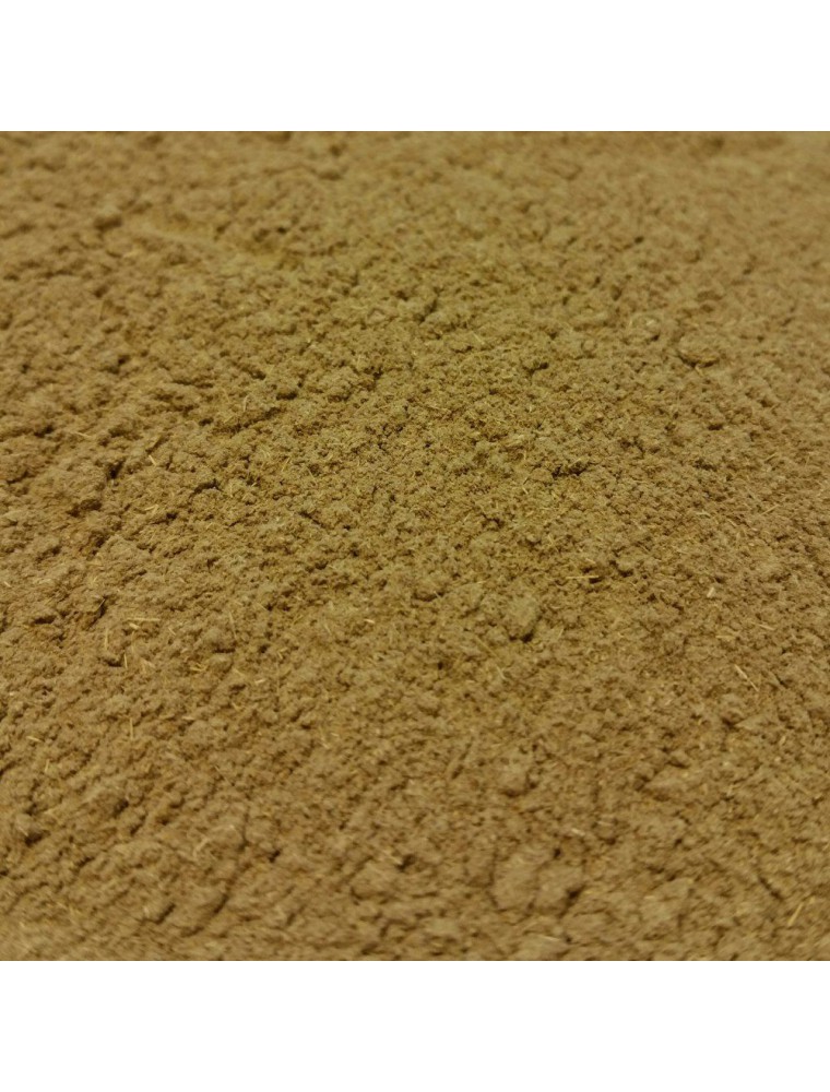 【HERBORISTERIE（エルボリステリア）】　　ナズナ　メディカルハーブティー　(全草　根以外　粉末）　100g　BIO <循環障害・泌尿器系＞　【Bourse a pasteur Bio - Partie aerienne en poudre 100g - Tisane de Capsella bursa-pastoris】