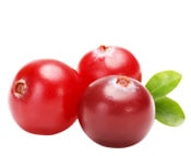 【アロマゾーン】　クランベリーオイル　（植物油）キャリアオイル　オーガニック認定　＜★よりお得な100ml★＞　CRANBERRY BIO