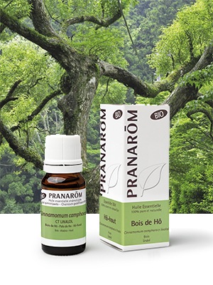 【プラナロム】　ホーウッド　精油　（クスノキ　/　シナモン・カンフォラ）エッセンシャルオイル　【有機】　Cinnamomum camphora CT Linalol 10ml