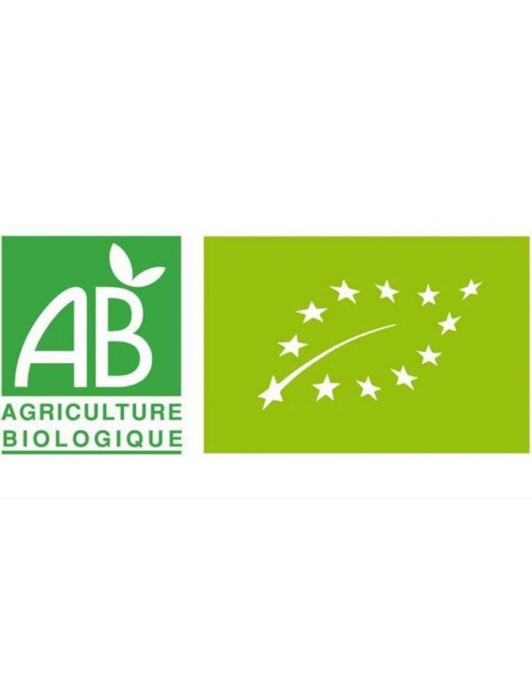 【エルビオリス】　トクサ　（冬スギナ・日本スギナ） タンチュメール　《骨粗しょう症予防・夜尿症に》  Equisetum hyemale （ハーブチンキ）　＜BIOオーガニック＞ extrait de Prele d'hiver - Herbiolys 50ml