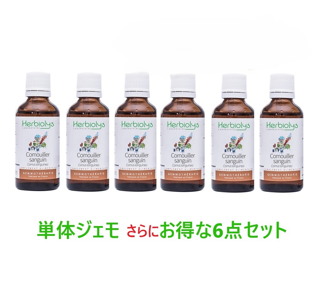 ※【エルビオリス】 シングルジェモレメディ　選べるお好きな6点セット 《1本格安＝5300円！》＜植物単体シングルジェモ製品6,600円よりお選びいただけます！＞　50mlｘ6本