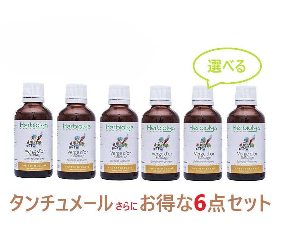 ※【エルビオリス】　タンチュメール　（フィトエッセンス ） 選べるお好きな6点セット　10％OFF！《格安1本＝5,130円！》 50mlx6本