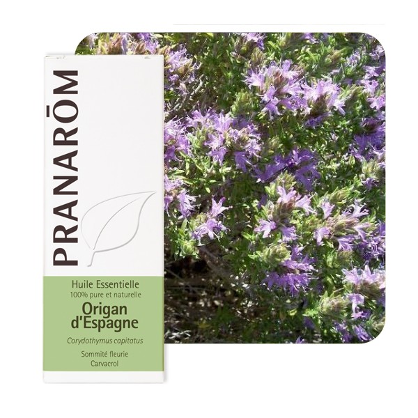 【プラナロム】　オレガノ・スペイン精油（エッセンシャルオイル） Thymus capitatus L.　(Origan d'Espagne)　10ml PRANAROM