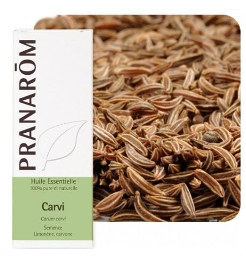 【プラナロム】　キャラウェイ　精油　（エッセンシャルオイル）　 Carum carvi 10ml PRANAROM