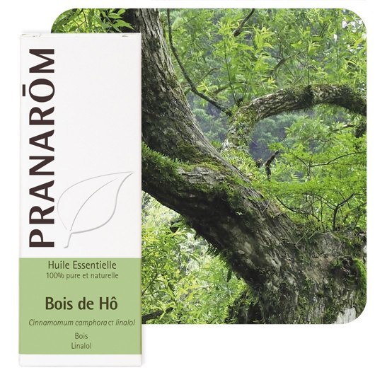 【プラナロム】 ホーリーフ 精油 (クスノキ / シナモン・カンフォラ / ホーウッド) Cinnamomum camphora CT Linalol 10ml