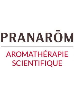 【プラナロム】 ホーリーフ 精油 (クスノキ / シナモン・カンフォラ / ホーウッド) Cinnamomum camphora CT Linalol 10ml