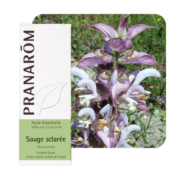 【プラナロム】　クラリセージ　精油　（エッセンシャルオイル）　Salvia sclarea 10ml　《ブルガリア産》