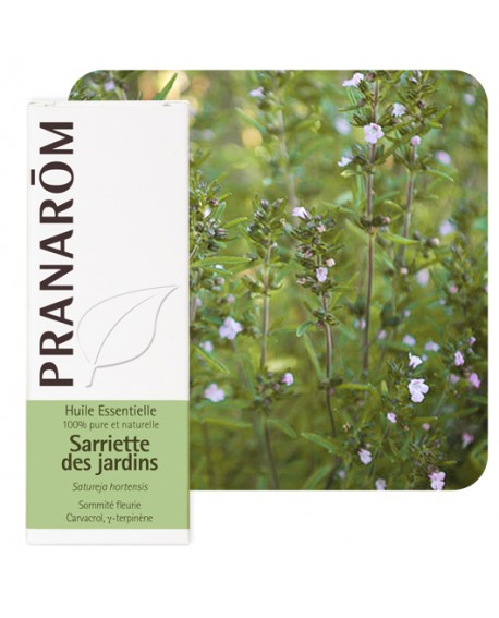 【プラナロム】　セイボリー　精油　 （サマーセイボリー） Sarriette des Jardins  (Satureja hortensis)  5ml