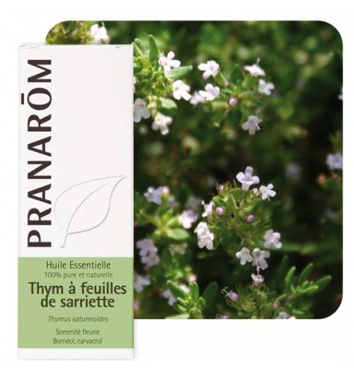 【プラナロム】　タイム・サツレオイデス　精油　 Thymus satureioides (Thym a feuilles de sarriette) 10ml