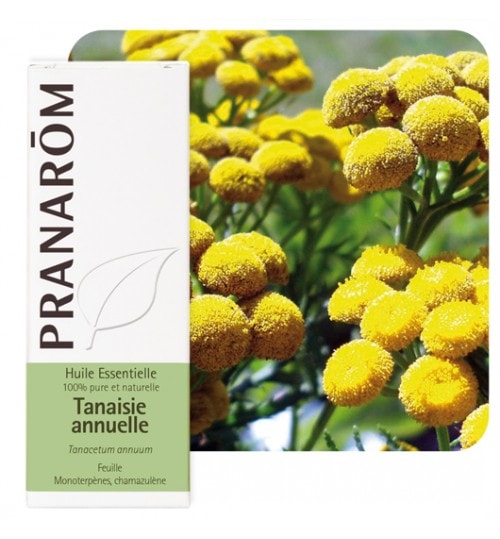 【プラナロム】　タナセタム　精油　（エッセンシャルオイル）　Tanacetum annuum 5ml PRANAROM