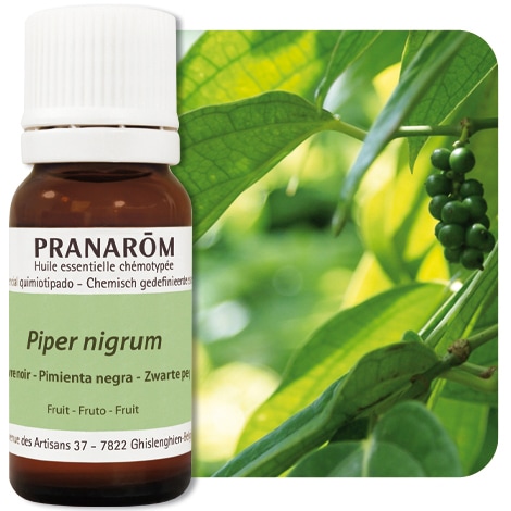 【プラナロム】　ペッパー　（ブラック・ペッパー）　精油　（エッセンシャルオイル）　Piper nigrum 5ml PRANAROM