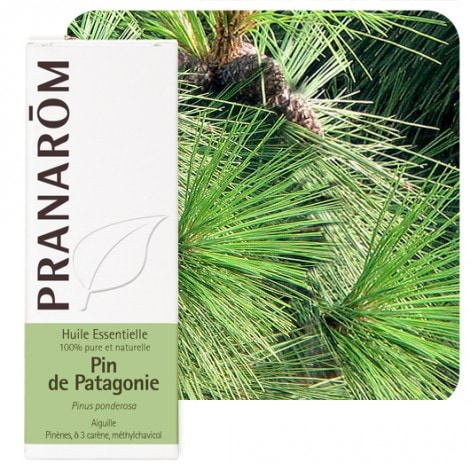 【プラナロム】　ポンデローザ・パイン　精油　（エッセンシャルオイル）　《希少》　Pinus ponderosa 5ml