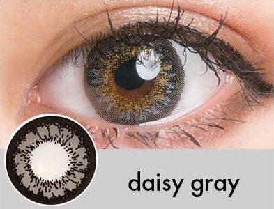 ���٤��ꡦ�٤ʤ���daisy���졼��1ǯ��