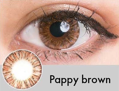 ���٤��ꡦ�٤ʤ���Pappy�֥饦���1ǯ��