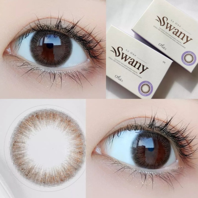 ٤ꡦ٤ʤ Swanyԥ奢祳1