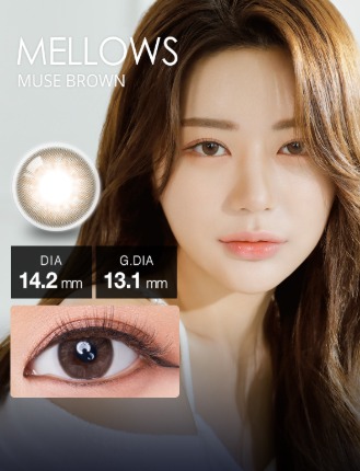 ٤ꡦ٤ʤ Mellowsߥ塼֥饦ʥǡ