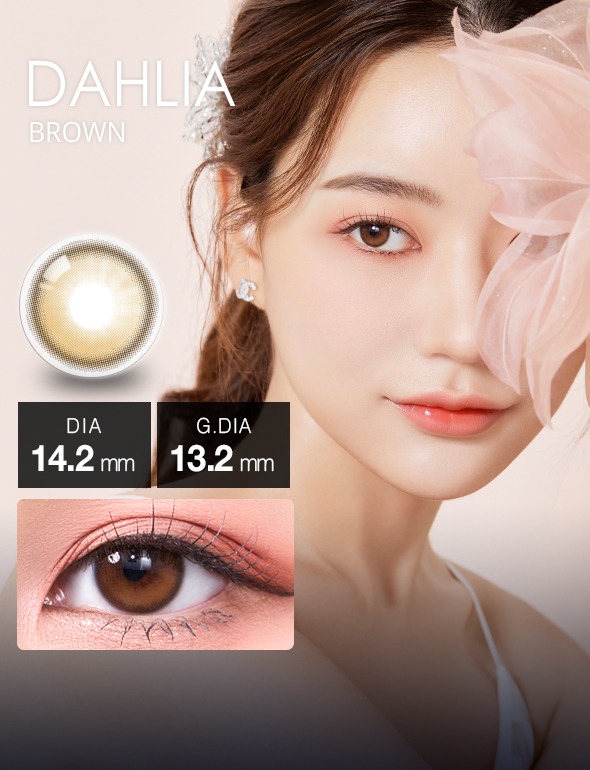 ٤ꡦ٤ʤ Dahlia֥饦1