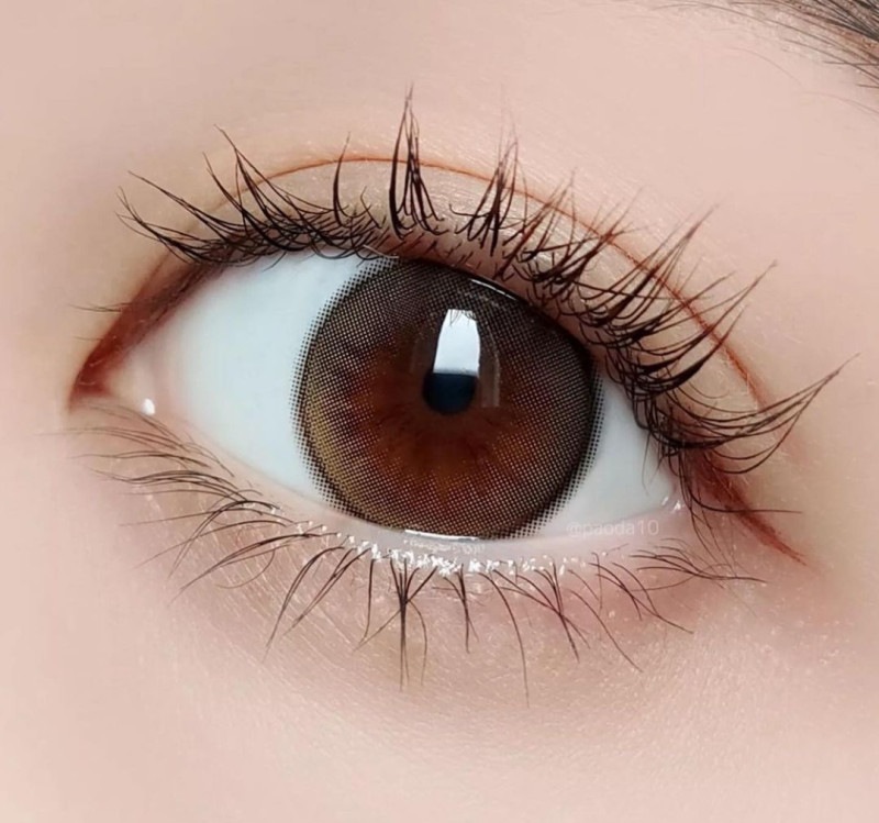 ٤ꡦ٤ʤ Daisyshowerԥ奢֥饦1