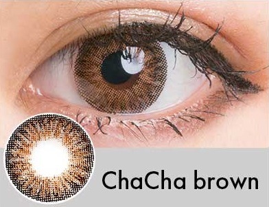 ���٤��ꡦ�٤ʤ���ChaCha�֥饦���1ǯ��