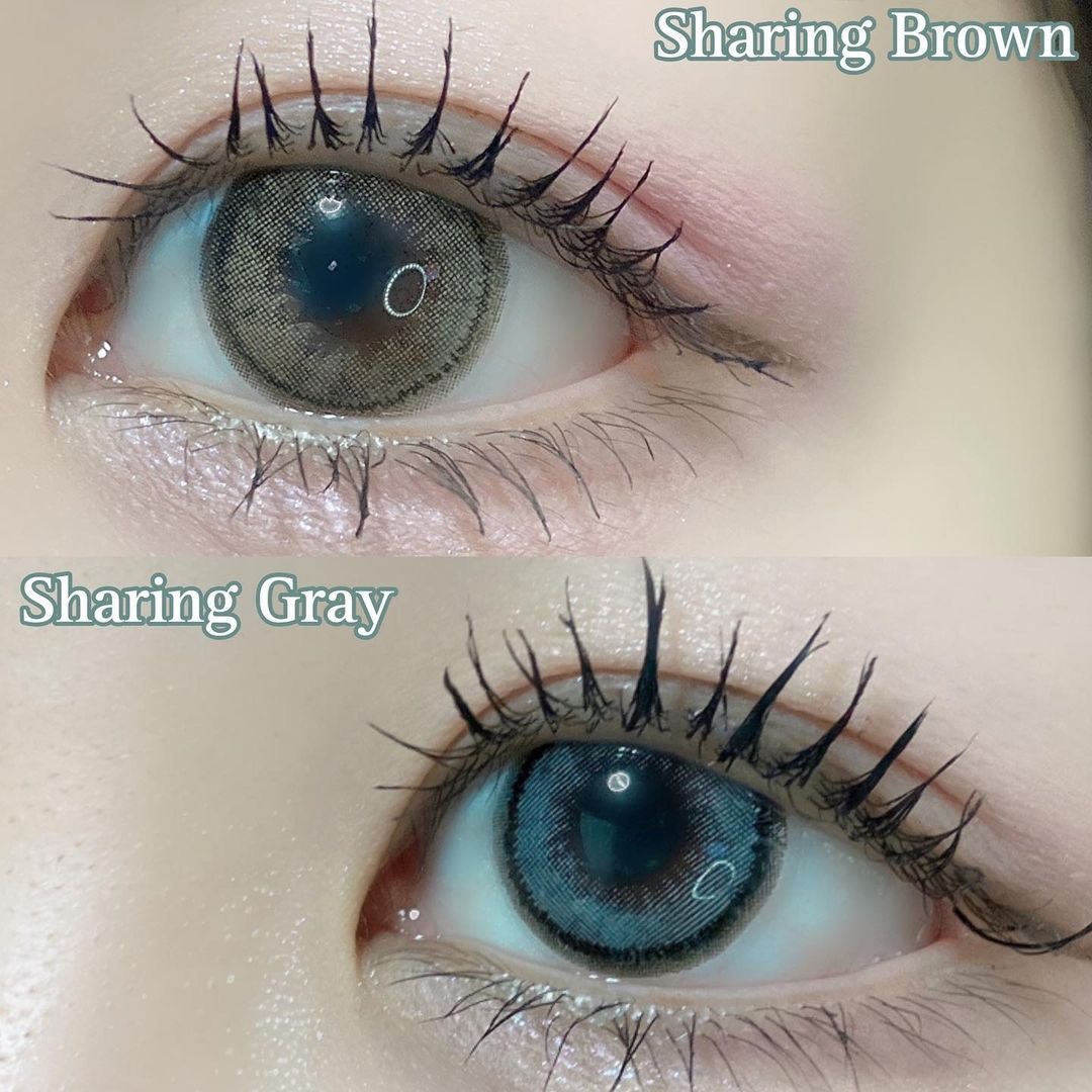 ٤ꡦ٤ʤ Sharing֥饦1