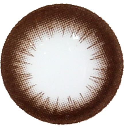 ���٤��ꡦ�٤ʤ���Maple�֥饦���1ǯ��