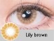 ���٤��ꡦ�٤ʤ���Lily�֥饦���1�����