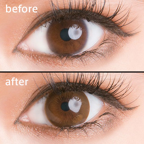 ٤ꡦ٤ʤDanbie Classic֥饦1ǯ