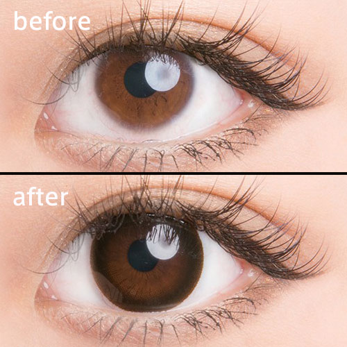 ���٤��ꡦ�٤ʤ���Maple�֥饦���1ǯ��