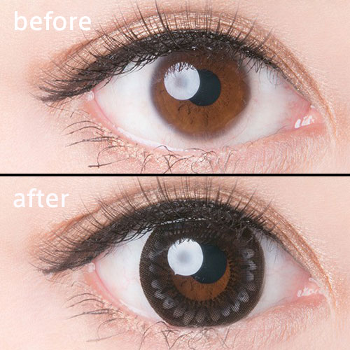 ٤ꡦ٤ʤTeddy֥å1ǯ